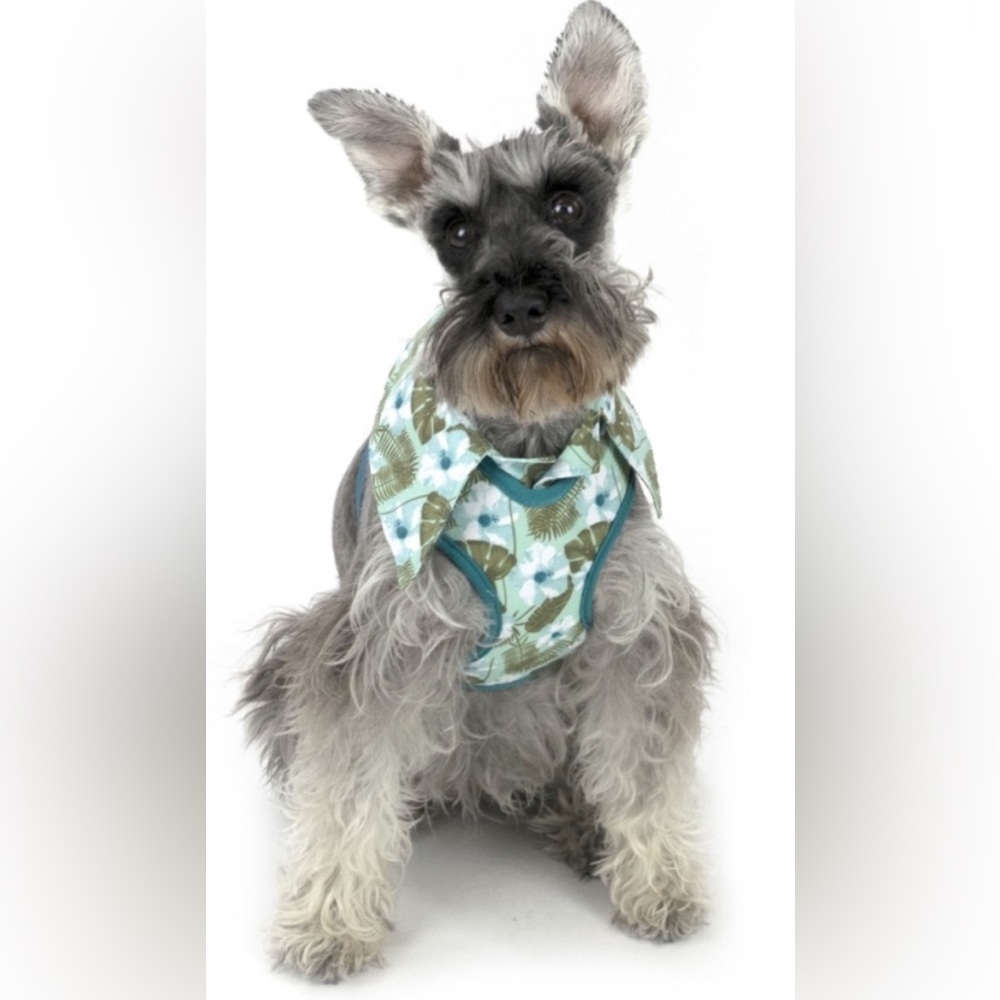 NWT Lot of 2x [Vibrant Life] Hawaiian Floral Harness & Bandanna Sz Medium Dog - Picture 2 of 15